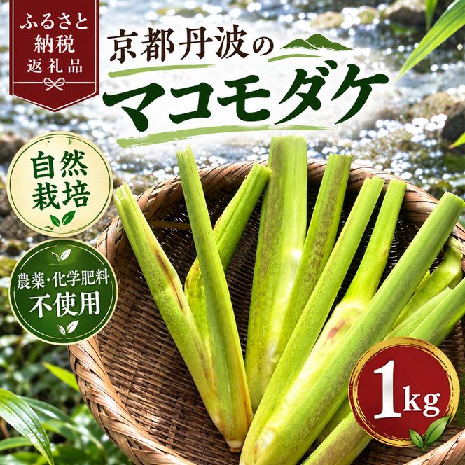 京都丹波のマコモダケ　1kg　自然栽培　栽培期間中 農薬・化学肥料不使用  京都丹波　新鮮野菜　自然栽培　スーパーフード　デトックス　縄文食