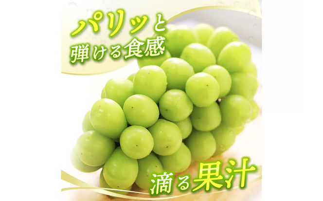 【2026年先行予約】 【ご家庭用】 Lino＆Kai Farmのシャインマスカット 2房（1.4kg前後） 化粧箱入 / 朝採れ ぶどう 岡山 真庭市 シャインマスカット 高級 ギフト 大粒 果物 贈答 人気 産地直送 国産 数量限定 種なし 【linokai008-02】