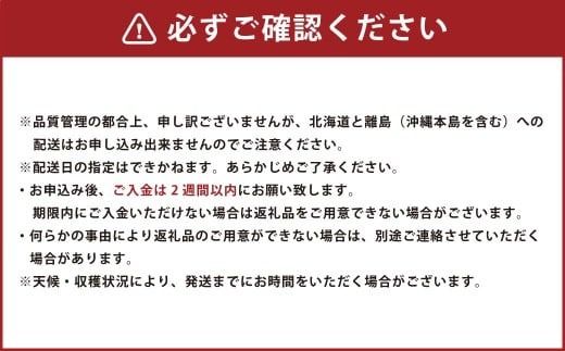 福岡県ブランド キウイフルーツ 「博多甘うぃ」 化粧箱 大玉9玉 約1.4kg 【2025年11月上旬～11月下旬発送予定】 キウイ 果物 フルーツ 九州 福岡県 香春町 冷蔵