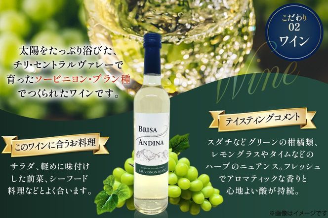 ワイン 白 ブリサ・アンディーナ ソーヴィニヨンブラン 500ml 12本 セット [カサ・ピノ・ジャパン 山梨県 韮崎市 20745345] ワインセット 山梨 酒 お酒 白ワイン アルコール ぶどう 果実酒