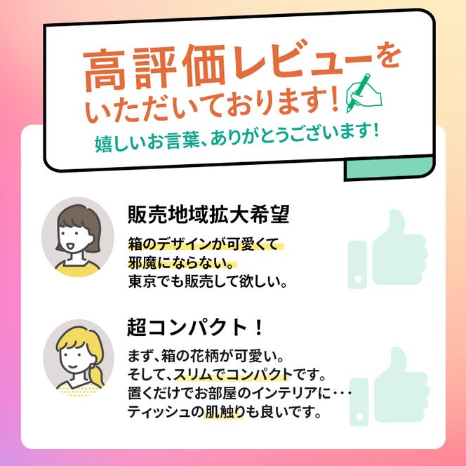【2回お届け 計120箱】エリエール i:na (イーナ) 北海道 ティシュー 150組5箱 12パック ティッシュペーパー 箱ティッシュ まとめ買い 防災 常備品 備蓄品 消耗品 日用品 生活必需品 送料無料 赤平市 福祉用品 雑貨 