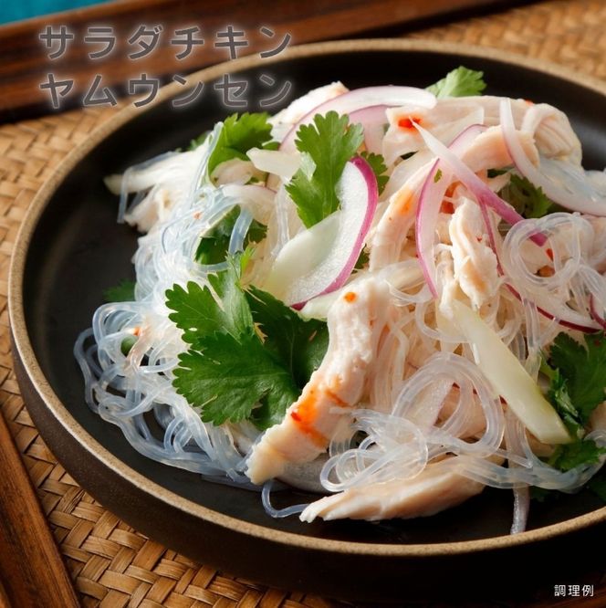 サラダチキン ガーリック味 100g×10個 計1kg リン酸不使用 冷凍 鶏肉 サラダ スパイス お弁当 おかず  [amatake043]