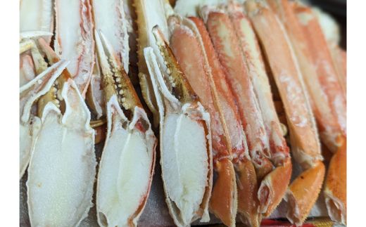 18-70 ボイル本ずわいがにハーフポーション(総重量　約900ｇ前後)