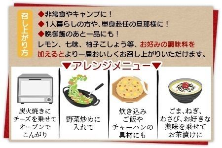 ＜鶏の炭火焼（100g×1パック）＞2025年1月に順次出荷【 肉 鶏 鶏肉 炭火焼 炭火焼き 国産 国産鶏肉 宮崎県産鶏肉 常温 常温鶏肉 鶏肉おかず 鶏肉おつまみ 焼き鳥 手焼き 惣菜 お試し キャンプ アウトドア 】【a0679_ty_x3-jan】