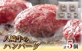 八崎牛のハンバーグ120g×5個 N0105-YZA4408