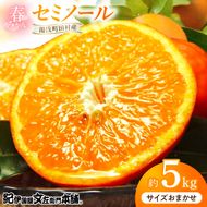 【2027年先行予約】セミノールオレンジ 約5kg 湯浅町田村産 春みかん （果実サイズおまかせ）/ 紀伊国屋文左衛門本舗_V7078