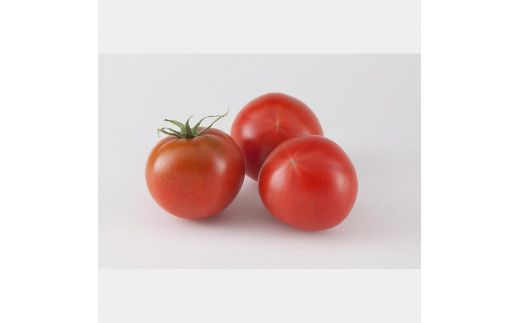 【先行予約】濃厚フルーツトマト 1kg 〈2027年1月〜発送〉 / Aランク 糖度8度以上 期間限定 フルーツトマト ふるーつとまと とまと トマト 甘い 濃厚 美味しい 箱入り 贈答 野菜 料理 高知県 土佐市【池トマト】[BQAG009]