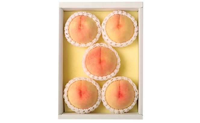 桃 2026年 先行予約 岡山 白桃（品種：白鳳／加納岩白桃）5～7玉 合計1.5kg以上 もも モモ 岡山県産 国産 フルーツ 果物 ギフト 環山堂 直射日光 有袋栽培 上品 甘み 香り 豊か とろける 果汁 贈り物 