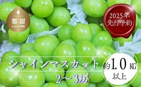 FF009 【2025年 先行予約】山梨県都留市産 朝採れ シャインマスカット ２~3房（約1.0kg以上）