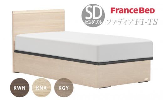 フランスベッド ファディア FAD-F1 TS（縦跳ね上げ収納260mm） M セミダブル　R-290