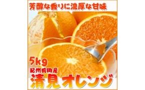 とにかくジューシー清見オレンジ　5kg
