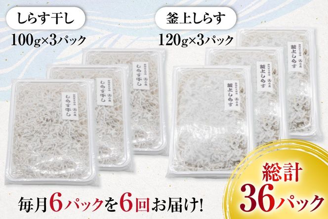 6回 定期便 駿河湾産 しらす干し 100g×3 釜上げしらす 120g×3 計6パック [マルあ水産 静岡県 吉田町 22424643] 魚 海鮮 しらす 白子 シラス 天日 じゃこ 小分け おじゃこ しらす干し
