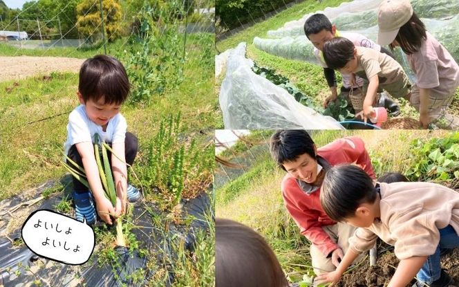 農園はなうた お野菜収穫体験券 5名様まで hnut0001
