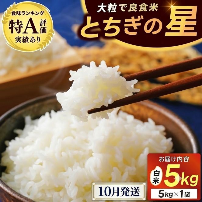 ＼10月発送／山﨑観光農園のお米　とちぎの星　白米5kg｜ 益子町 お米 白米 精米 令和8年 5kg（AU046-10）