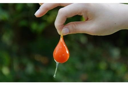 【 つまんでご卵 】糸島 ロールケーキ 2種 セット 糸島 / 緑の農園 [AGA001] 詰め合わせ 焼き菓子 ギフト お菓子 人気 お取り寄せ スイーツ バレンタイン