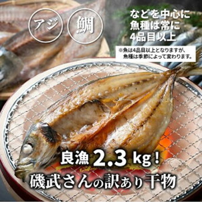 【父の日ギフト】良漁2.3kg!磯武さんの訳あり干物_2410R