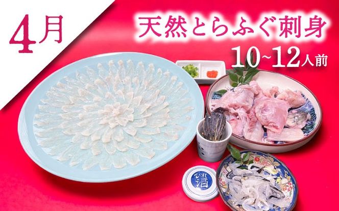 【2026年2月～初回発送】【3回定期便】南島原ふぐ三昧プレミアム 10人〜12人前 / ふぐ フグ 河豚 トラフグ ふぐ刺し / 南島原市 / 大和庵[SCJ033]