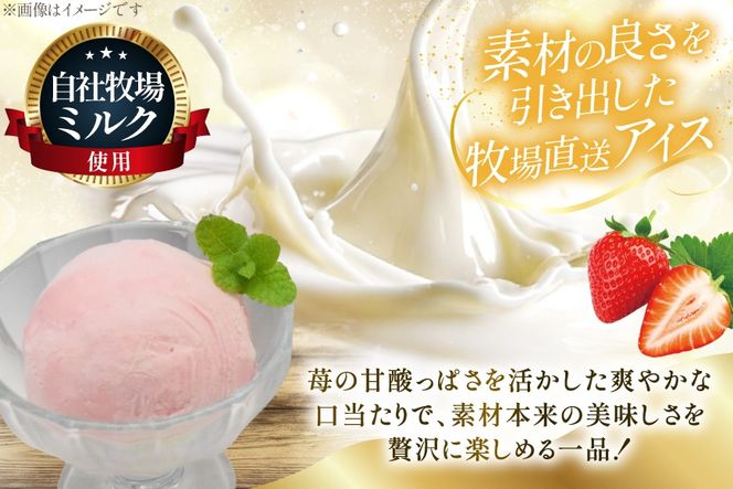 テレビで紹介！ アイス ジェラート ストロベリー 2L ファミリーサイズ ジャンボサイズ [岩瀬牧場 北海道 砂川市 12260964] 冷凍 アイスクリーム 詰め合わせ スイーツ