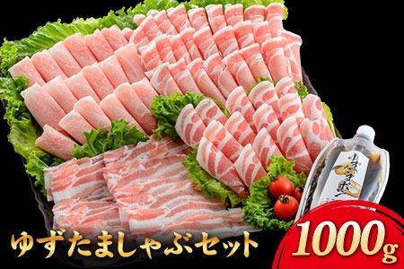 えころとん・豚肉4種(計1000g) ゆずたましゃぶセット[60日以内に出荷予定(土日祝除く)]熊本県産 有限会社ファームヨシダ---oz_fyd_34_1000g---