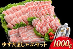 えころとん・豚肉4種(計1000g)　ゆずたましゃぶセット《60日以内に出荷予定(土日祝除く)》熊本県産 有限会社ファームヨシダ---oz_fyd_34_1000g---