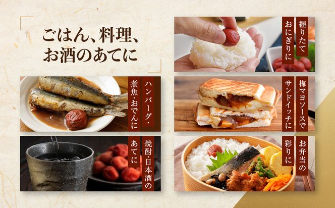 ご家庭用 大容量 紀州南高梅 しそ漬 つぶれ 塩分約15％ 700g×2 ［YM16］ 303446_DX90019