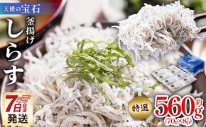 しらす 【天使の宝石】特選 釜揚げしらす 約560g 70g×8パック 特選 小分け 国産 ちりめんじゃこ 離乳食 しらす シラス 稚魚 魚介 魚 海産物 釜茹で ドロメ しらす丼 料理 ご飯のお供 カワクボFACTORY 高知県 香南市 fa-0002