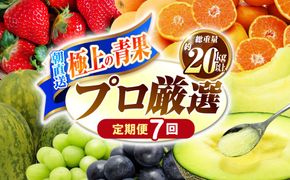 【7回コース】果物屋が選ぶ旬のフルーツ定期便 いちご メロン びわ みかん 梨 柿 など / 南島原市 / 贅沢宝庫[SDZ059]