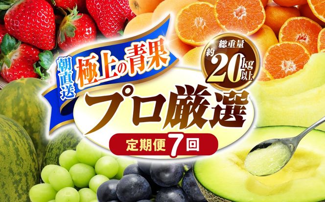 【7回コース】果物屋が選ぶ旬のフルーツ定期便 いちご メロン びわ みかん 梨 柿 など / 南島原市 / 贅沢宝庫[SDZ059]