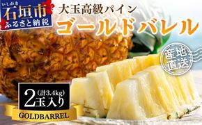 【先行予約】《2025年夏季 順次発送》ゴールドバレルパイン大玉２個入り 計3.4kg 【 産地直送 沖縄 石垣 フルーツ パイナップル パイン ゴールドバレルパイン 】SI-39