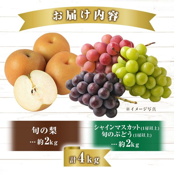 【先行受付・産直もぎたて】完熟シャインマスカット等と梨セット 計4kg（フルーツ 果物 くだもの シャインマスカット ブドウ ナシ 先行受付 2025 贈答用 プレゼント 限定）