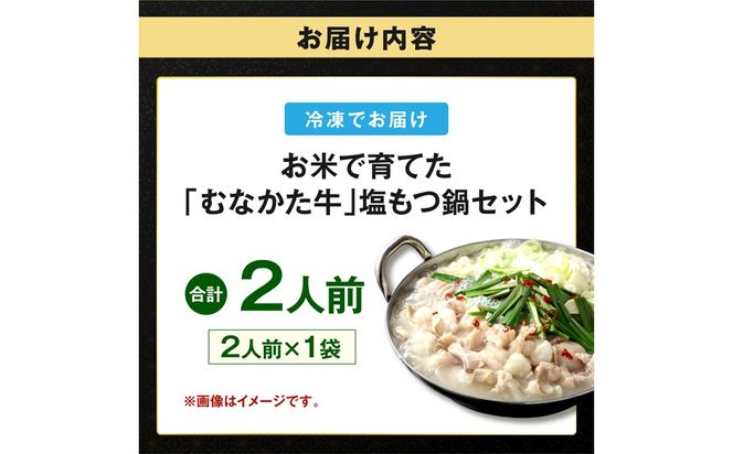 お米で育てた「むなかた牛」 塩もつ鍋セット（2人前）【道の駅むなかた】_AS2099-00 むなかた牛 もつ鍋 塩もつ鍋 福岡県宗像市 宗像市 福岡 宗像