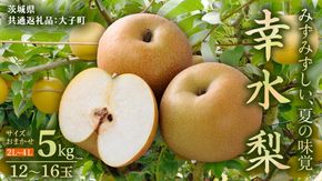 茨城県産 梨 幸水 サイズ おまかせ （2L～ 4L ） 5kg（ 12～16玉 ）【2026年8月中旬発送開始】 (茨城県共通返礼品：大子町) 梨 なし ナシ 果物 くだもの 季節 フルーツ デザート 旬果