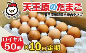 【定期便】10回定期 【天王原のたまご】 ロイヤル卵50個入り【定期便 10回定期便 セット たまご 卵 玉子 タマゴ 濃厚 ハリ 弾力 ボリューム 甘味 旨味 卵黄 風味 生 コク 甘味 卵かけご飯 卵焼き 目玉焼き オムレツ 茶碗蒸し お菓子作り パンの材料】