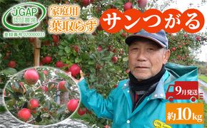 9月発送 家庭用葉 取らず サンつがる 約10kg【訳あり】【鶴翔りんごGAP部会 青森県産 津軽産 リンゴ 林檎】 果物類りんご 完熟 丸かじり 甘い 