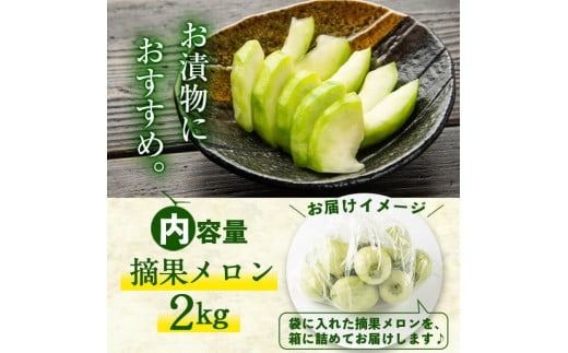 【期間限定・数量限定】鹿児島県志布志産 摘果メロン(子メロン・小メロン) 2kg a0-330-02