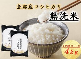 T-16【令和7年産 頒布会】無洗米 魚沼産コシヒカリ 4kg×全12回米 コメ こしひかり 精米 ブランド米 お取り寄せ 十日町市