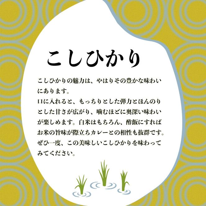 米 こしひかり 2kg 農家直送 特別栽培米 コシヒカリ 精米 お米 酢飯 新生活 贈り物 人気米 ご飯 白米 コメ 贈答 静岡県 藤枝市