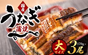 【大型サイズ】ふっくら柔らか 国産うなぎ蒲焼き 3尾/うなぎ ウナギ 鰻 うなぎ蒲焼 国産【uot303A-3】