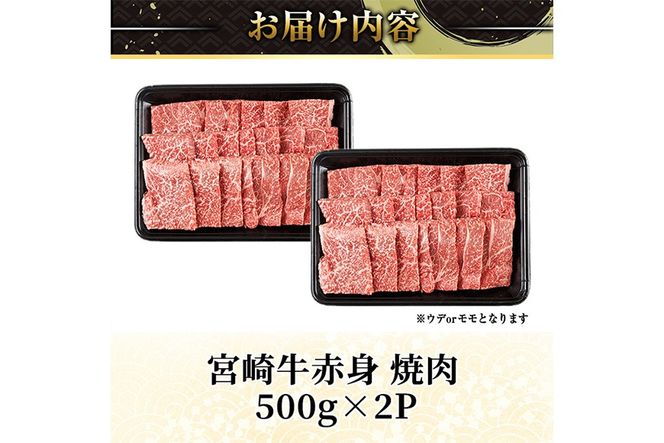 宮崎牛 赤身カット 焼肉 (計1kg・500g×2) 焼肉 お肉 牛肉 黒毛和牛 宮崎牛 ブランド和牛 冷凍 国産 モモ ウデ 宮崎県産 【YM-24】【YAMATO株式会社】