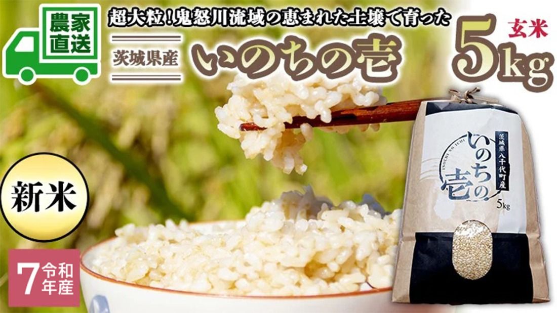[選べる 玄米 精米]令和7年産 茨城県産 新米 いのちの壱 5kg 米 こめ コメ 農家 直送 こだわり お米 おこめ 茨城 [BG013ya] [BG014ya]