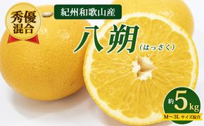 【先行予約】【秀優混合】紀州和歌山産 八朔（はっさく）約5kg（箱込み）M～3L サイズ混合