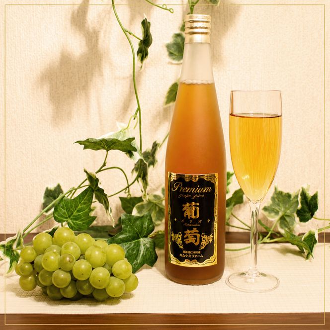 3ヵ月 定期便 プレミアム葡萄ジュース【ナイアガラ】500ml×2本 化粧箱入り ぶどう ブドウ ジュース 飲料 果物 くだもの フルーツ  [カムナビファーム]