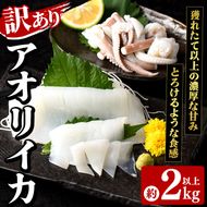 訳あり！アオリイカ(約2kg以上・3～8杯) 鹿児島県 阿久根市 いか イカ 烏賊 魚介 海鮮 海産物 冷凍 お刺身 お造り 真空パック 新鮮 おつまみ 晩酌 酒の肴 【さるがく水産】akn028-55