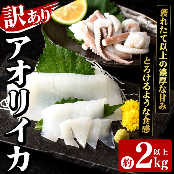 訳あり！アオリイカ(約2kg以上・3～8杯) 鹿児島県 阿久根市 いか イカ 烏賊 魚介 海鮮 海産物 冷凍 お刺身 お造り 真空パック 新鮮 おつまみ 晩酌 酒の肴 【さるがく水産】akn028-55