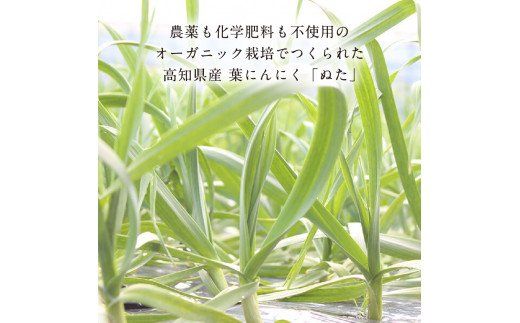 KGP015　緊急支援 人気海鮮 芸西村厳選1本釣り本わら焼き「芸西村本気の極カツオのたたき（3～4人前）有名番組で紹介の有機無添加土佐にんにくぬた・タレ付き」高知県共通返礼品 かつお タタキ 海鮮 藁焼き 鰹 塩 ランキング 食べて応援