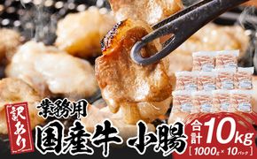 《業務用・訳アリ》国産牛　小腸　10kg 372013_HM182