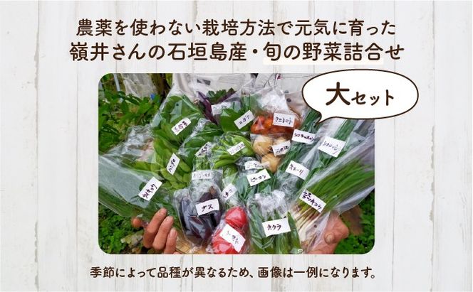 嶺井さんの石垣島旬の野菜詰合せ（大セット）OI-23