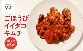 【寄附額見直しました！】【ごほうびキムチ】イイダコキムチ（5個入り×3袋）【 キムチ 神奈川県 小田原市 】 142069_FZ003