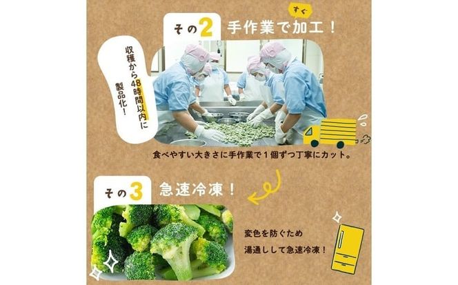 【志布志市制20周年記念】鹿児島県産 冷凍ブロッコリー＜計2.4kg＞(200g×12袋) a5-354