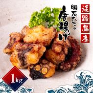 淡路島産 明石たこ唐揚げ 1kg タコ
